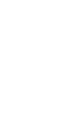 Formularze US
